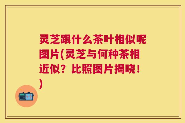灵芝跟什么茶叶相似呢图片(灵芝与何种茶相近似?比照图片揭晓!) 灵芝跟什么茶叶相似呢图片(灵芝与何种茶相近似?比照图片揭晓!)