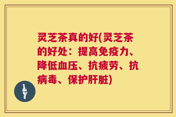 灵芝茶真的好(灵芝茶的好处:提高免疫力、降低、、抗、保护) 灵芝茶真的好(灵芝茶的好处:提高免疫力、降低、、抗、保护)