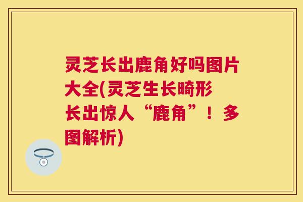 灵芝长出鹿角好吗图片大全(灵芝生长畸形 长出惊人“鹿角”!多图解析) 灵芝长出鹿角好吗图片大全(灵芝生长畸形 长出惊人“鹿角”!多图解析)