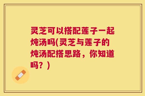 灵芝可以搭配莲子一起炖汤吗(灵芝与莲子的炖汤配搭思路,你知道吗?) 灵芝可以搭配莲子一起炖汤吗(灵芝与莲子的炖汤配搭思路,你知道吗?)