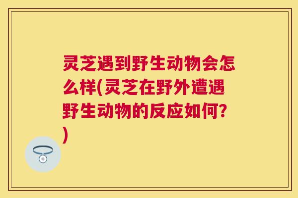 灵芝遇到野生动物会怎么样(灵芝在野外遭遇野生动物的反应如何？)