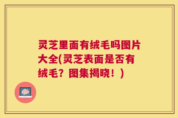灵芝里面有绒毛吗图片大全(灵芝表面是否有绒毛？图集揭晓！)