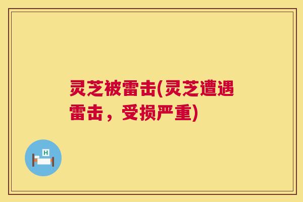灵芝被雷击(灵芝遭遇雷击，受损严重)