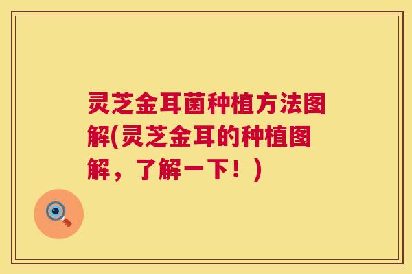 灵芝金耳菌种植方法图解(灵芝金耳的种植图解,了解一下!) 灵芝金耳菌种植方法图解(灵芝金耳的种植图解,了解一下!)
