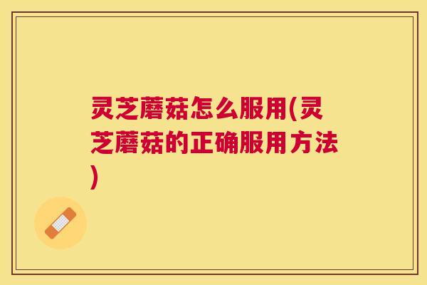灵芝蘑菇怎么服用(灵芝蘑菇的正确服用方法) 灵芝蘑菇怎么服用(灵芝蘑菇的正确服用方法)
