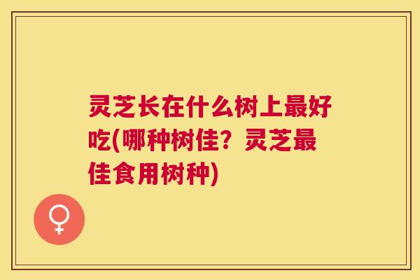 灵芝长在什么树上好吃(哪种树佳?灵芝佳食用树种) 灵芝长在什么树上好吃(哪种树佳?灵芝佳食用树种)
