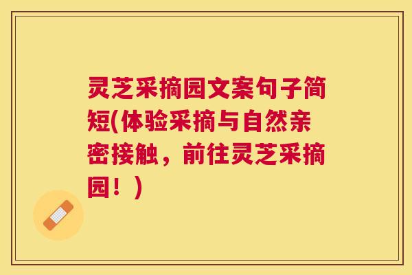 灵芝采摘园文案句子简短(体验采摘与自然亲密接触，前往灵芝采摘园！)