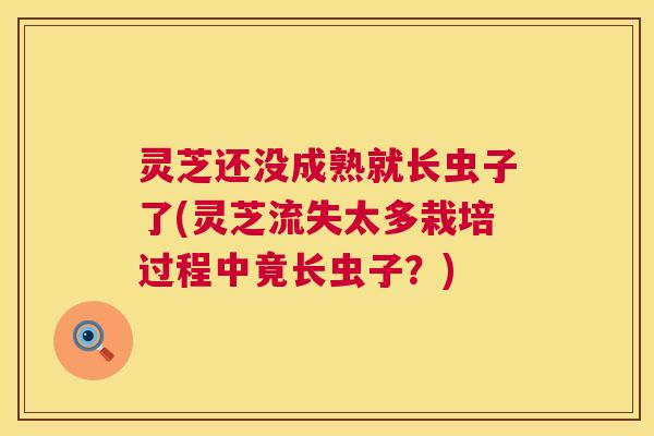 灵芝还没成熟就长虫子了(灵芝流失太多栽培过程中竟长虫子?) 灵芝还没成熟就长虫子了(灵芝流失太多栽培过程中竟长虫子?)