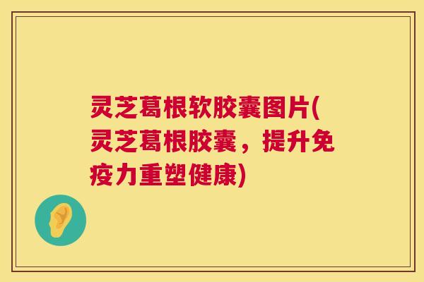 灵芝葛根软胶囊图片(灵芝葛根胶囊，提升免疫力重塑健康)