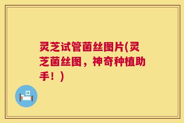 灵芝试管菌丝图片(灵芝菌丝图，神奇种植助手！)