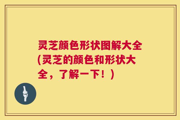 灵芝颜色形状图解大全(灵芝的颜色和形状大全,了解一下!) 灵芝颜色形状图解大全(灵芝的颜色和形状大全,了解一下!)