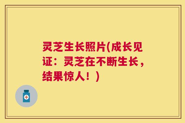 灵芝生长照片(成长见证：灵芝在不断生长，结果惊人！)