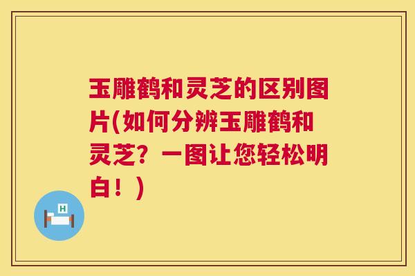 玉雕鹤和灵芝的区别图片(如何分辨玉雕鹤和灵芝？一图让您轻松明白！)