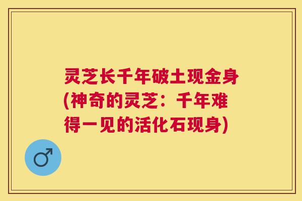 灵芝长千年破土现金身(神奇的灵芝:千年难得一见的活化石现身) 灵芝长千年破土现金身(神奇的灵芝:千年难得一见的活化石现身)