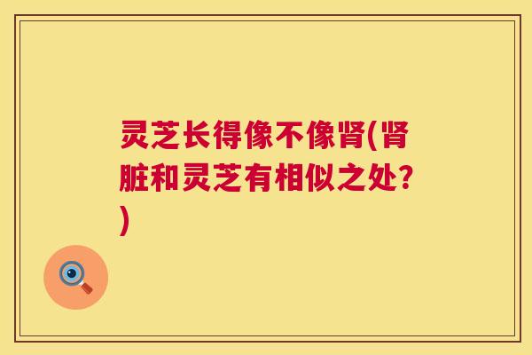 灵芝长得像不像(脏和灵芝有相似之处？)