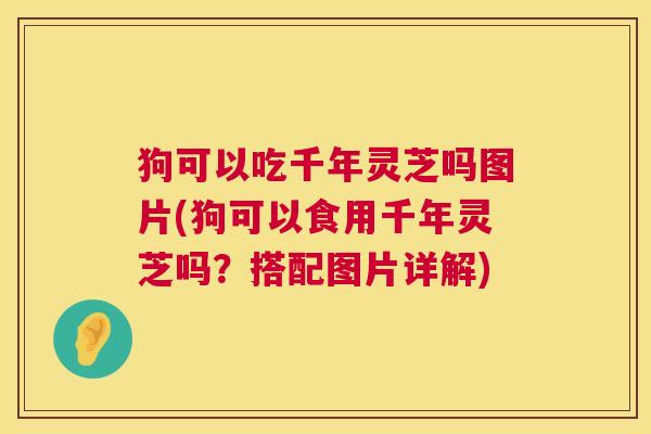 狗可以吃千年灵芝吗图片(狗可以食用千年灵芝吗?搭配图片详解) 狗可以吃千年灵芝吗图片(狗可以食用千年灵芝吗?搭配图片详解)