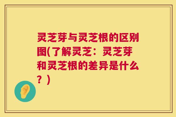 灵芝芽与灵芝根的区别图(了解灵芝：灵芝芽和灵芝根的差异是什么？)