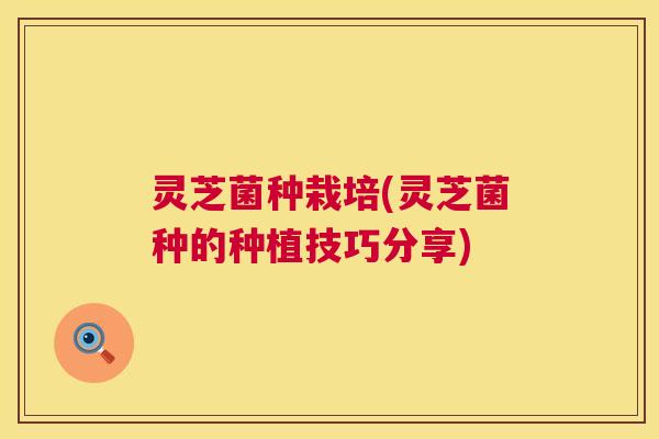 灵芝菌种栽培(灵芝菌种的种植技巧分享)