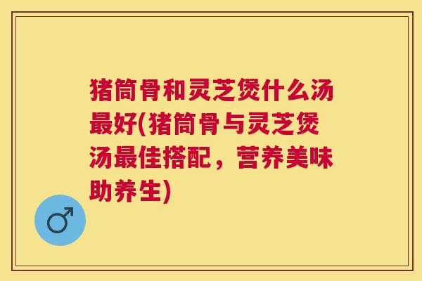 猪筒骨和灵芝煲什么汤好(猪筒骨与灵芝煲汤佳搭配，营养美味助养生)