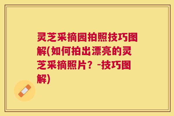 灵芝采摘园拍照技巧图解(如何拍出漂亮的灵芝采摘照片？-技巧图解)