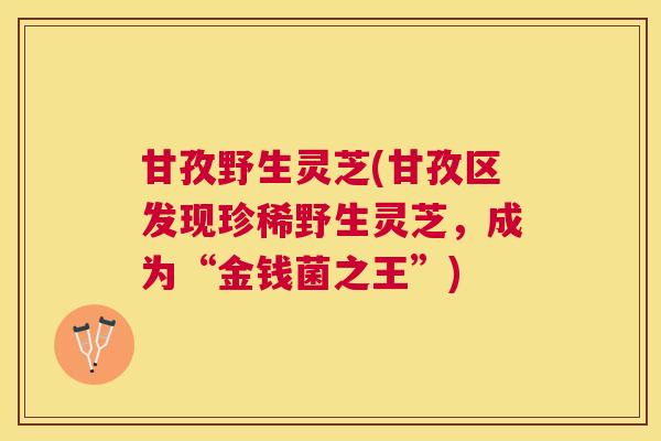 甘孜野生灵芝(甘孜区发现珍稀野生灵芝,成为“金钱菌之王”) 甘孜野生灵芝(甘孜区发现珍稀野生灵芝,成为“金钱菌之王”)