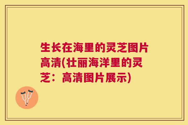 生长在海里的灵芝图片高清(壮丽海洋里的灵芝：高清图片展示)