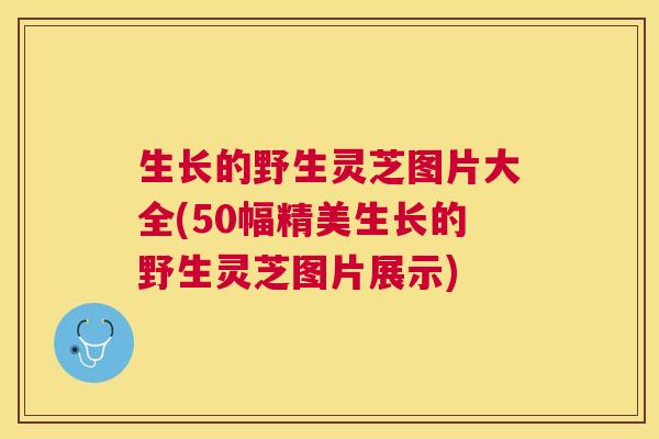 生长的野生灵芝图片大全(50幅精美生长的野生灵芝图片展示)