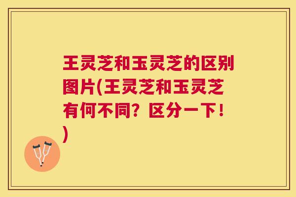 王灵芝和玉灵芝的区别图片(王灵芝和玉灵芝有何不同？区分一下！)
