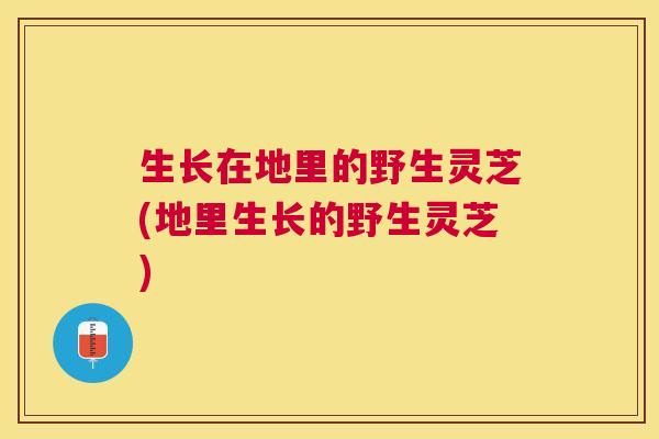 生长在地里的野生灵芝(地里生长的野生灵芝)