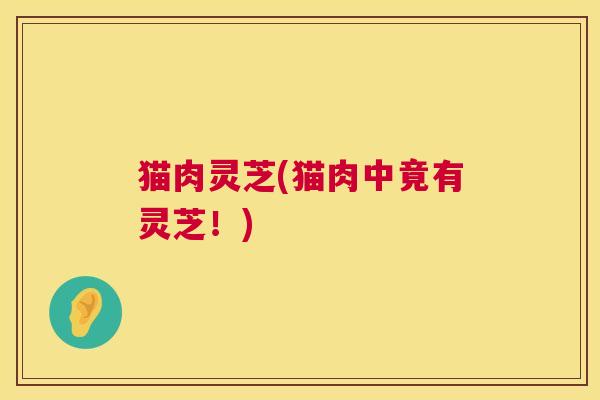 猫肉灵芝(猫肉中竟有灵芝!) 猫肉灵芝(猫肉中竟有灵芝!)