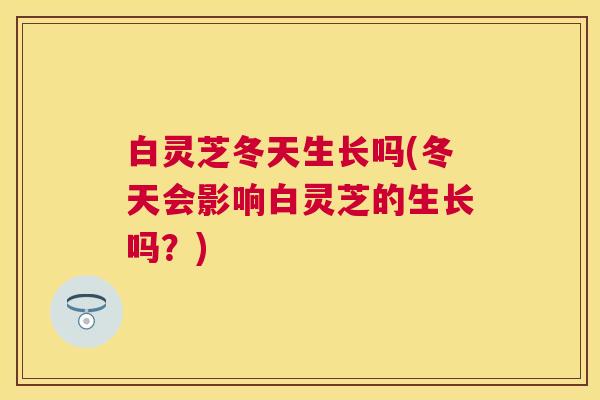 白灵芝冬天生长吗(冬天会影响白灵芝的生长吗？)