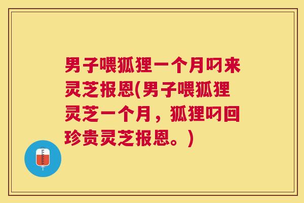 男子喂狐狸一个月叼来灵芝报恩(男子喂狐狸灵芝一个月,狐狸叼回珍贵灵芝报恩。) 男子喂狐狸一个月叼来灵芝报恩(男子喂狐狸灵芝一个月,狐狸叼回珍贵灵芝报恩。)