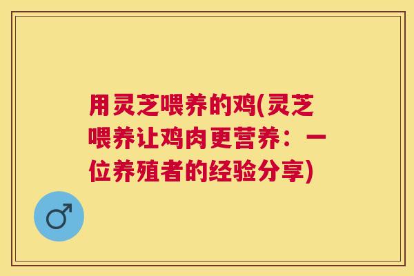 用灵芝喂养的鸡(灵芝喂养让鸡肉更营养:一位养殖者的经验分享) 用灵芝喂养的鸡(灵芝喂养让鸡肉更营养:一位养殖者的经验分享)