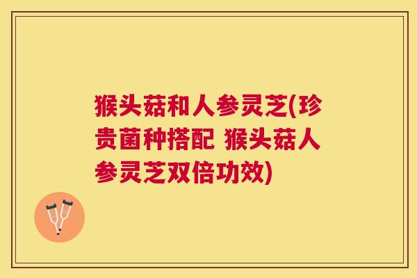 猴头菇和人参灵芝(珍贵菌种搭配 猴头菇人参灵芝双倍功效) 猴头菇和人参灵芝(珍贵菌种搭配 猴头菇人参灵芝双倍功效)