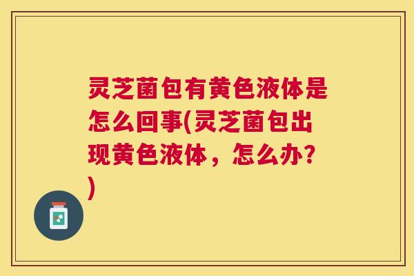 灵芝菌包有黄色液体是怎么回事(灵芝菌包出现黄色液体,怎么办?) 灵芝菌包有黄色液体是怎么回事(灵芝菌包出现黄色液体,怎么办?)