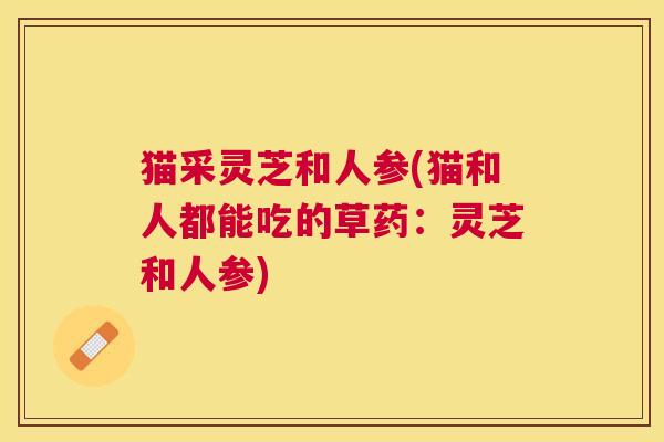 猫采灵芝和人参(猫和人都能吃的草药：灵芝和人参)