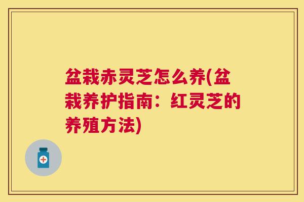盆栽赤灵芝怎么养(盆栽养护指南：红灵芝的养殖方法)