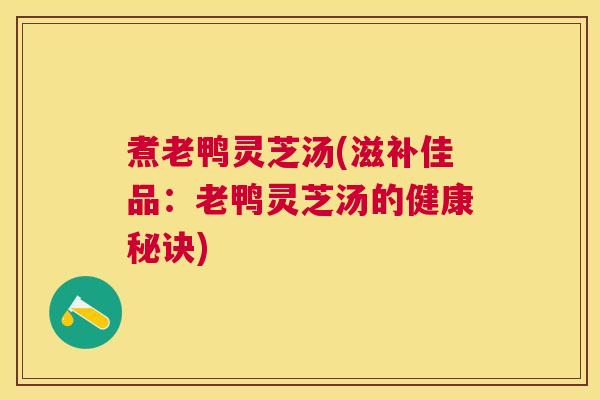 煮老鸭灵芝汤(滋补佳品：老鸭灵芝汤的健康秘诀)