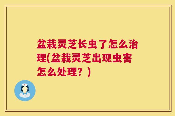 盆栽灵芝长虫了怎么理(盆栽灵芝出现虫害怎么处理？)