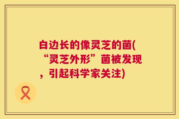 白边长的像灵芝的菌(“灵芝外形”菌被发现,引起科学家关注) 白边长的像灵芝的菌(“灵芝外形”菌被发现,引起科学家关注)