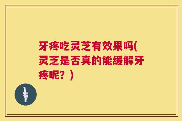 牙疼吃灵芝有效果吗(灵芝是否真的能缓解牙疼呢？)