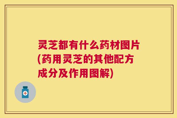 灵芝都有什么药材图片(药用灵芝的其他配方成分及作用图解)