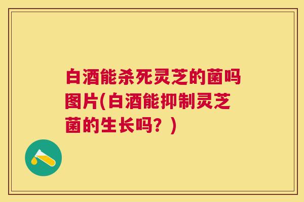 白酒能杀死灵芝的菌吗图片(白酒能抑制灵芝菌的生长吗？)