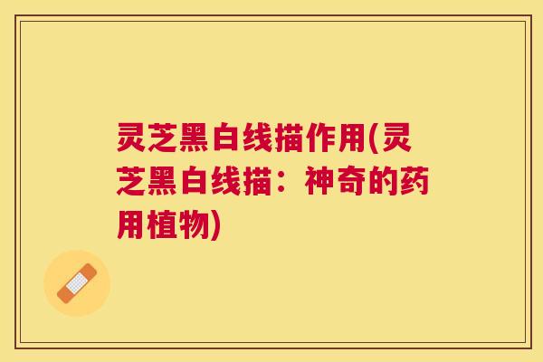 灵芝黑白线描作用(灵芝黑白线描：神奇的药用植物)