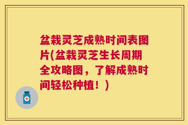 盆栽灵芝成熟时间表图片(盆栽灵芝生长周期全攻略图,了解成熟时间轻松种植!) 盆栽灵芝成熟时间表图片(盆栽灵芝生长周期全攻略图,了解成熟时间轻松种植!)