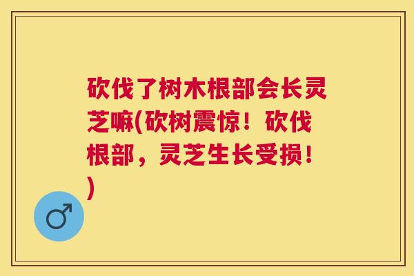 砍伐了树木根部会长灵芝嘛(砍树震惊!砍伐根部,灵芝生长受损!) 砍伐了树木根部会长灵芝嘛(砍树震惊!砍伐根部,灵芝生长受损!)