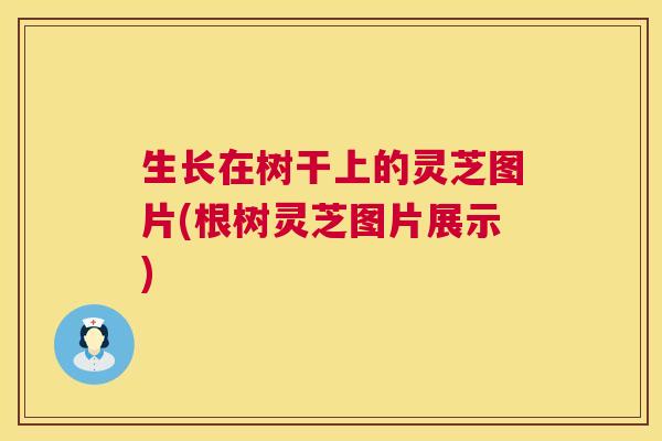 生长在树干上的灵芝图片(根树灵芝图片展示)