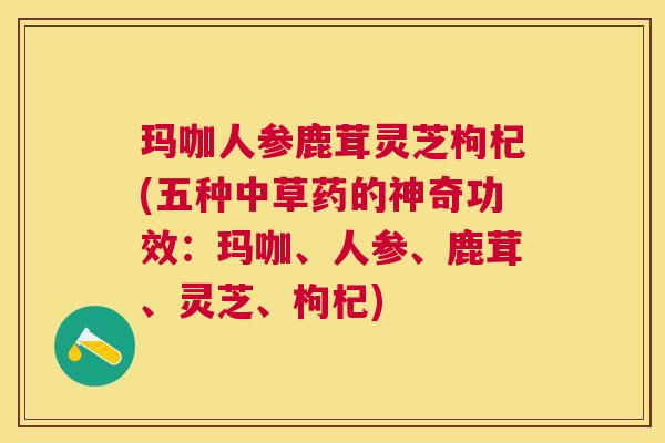 玛咖人参鹿茸灵芝枸杞(五种中草药的神奇功效：玛咖、人参、鹿茸、灵芝、枸杞)
