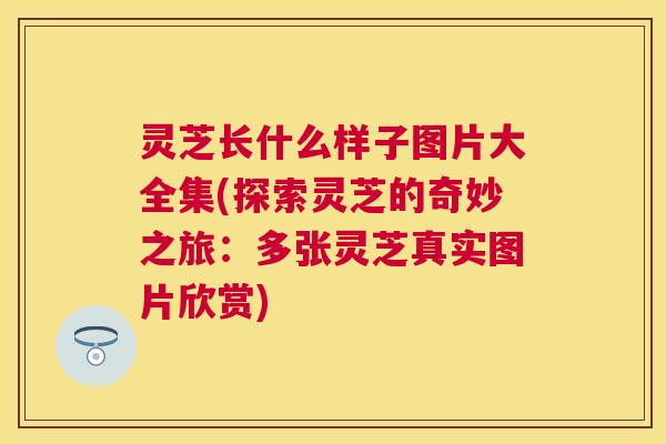 灵芝长什么样子图片大全集(探索灵芝的奇妙之旅：多张灵芝真实图片欣赏)