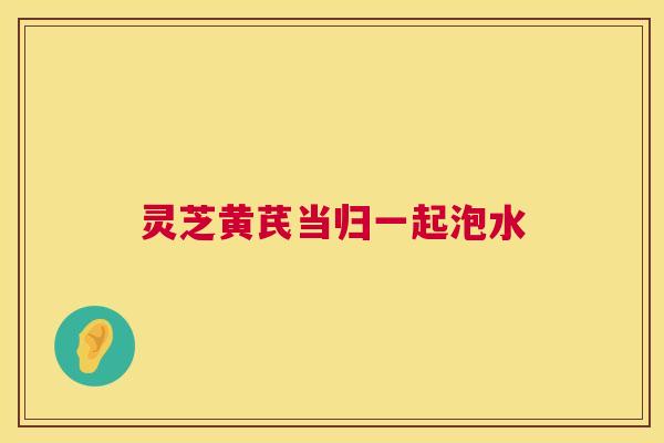 灵芝黄芪当归一起泡水